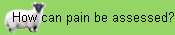 How can pain be assessed?
