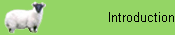 Introduction