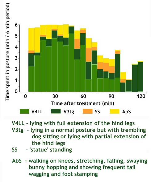 Graph showing the effect of rubber ring castration on the posture of lambs