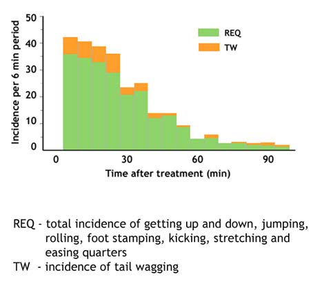 The distribution in time of the activity of lambs castrated with rubber rings at less than a week of age