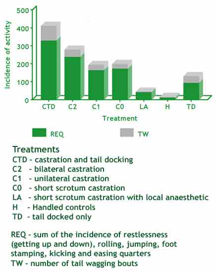 Histogram of the incidence of limb and tail movements (REW) in the 90 minutes after different rubber ring castration treatments of lambs less than a week of age