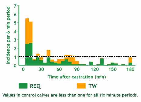 Graph showing the distribution in the activity of calves after castration with a Burdizzo at a week of age