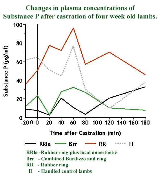 Graph showing changes in plasma concentrations of Substance P after castration of four week old lambs