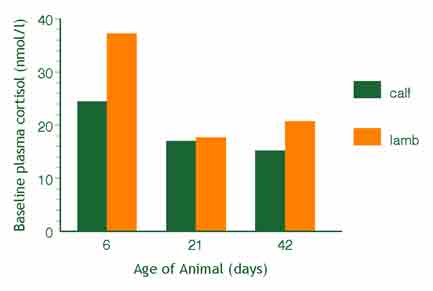 Histogram of baseline plasma cortisol values in lambs and calves at different ages