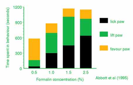 Histogram showing the effect of increasing formalin concentration on paw movements in the rat