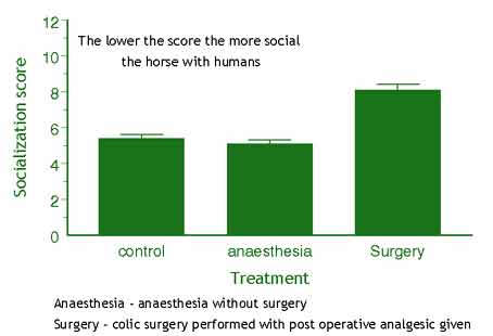 Socialization scores (sem) for horses during the 24 hours after exploratory celiotomy for colic
