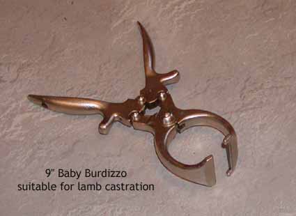 Picture of 9" baby Burdizzo used to castrate lambs and young calves