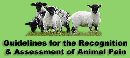 Guidelines for the Recognition & Assessment of Animal Pain