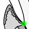Cemento-enamel junction