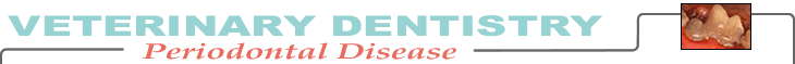 Periodontal disease chapter