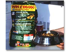 bowl of dog food
