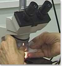 Cleaning the oil immersion objective