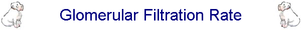Glomerular Filtration Rate