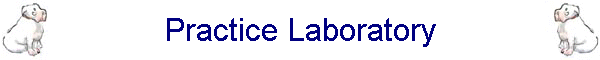 Practice Laboratory