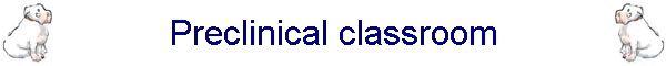 Preclinical classroom