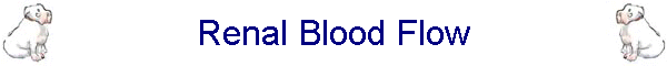 Renal Blood Flow