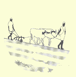Ploughing,