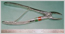 Small breed forceps