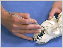 Modified pen grip