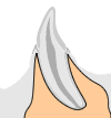 Alveolar bone