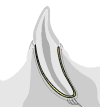 Cementum