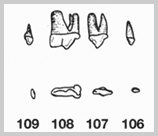 Section from cat chart