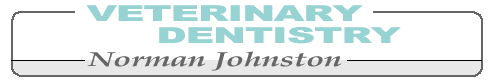 Veterinary Dentistry