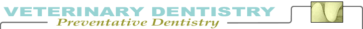Preventative dentistry chapter