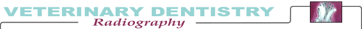 Radiography chapter